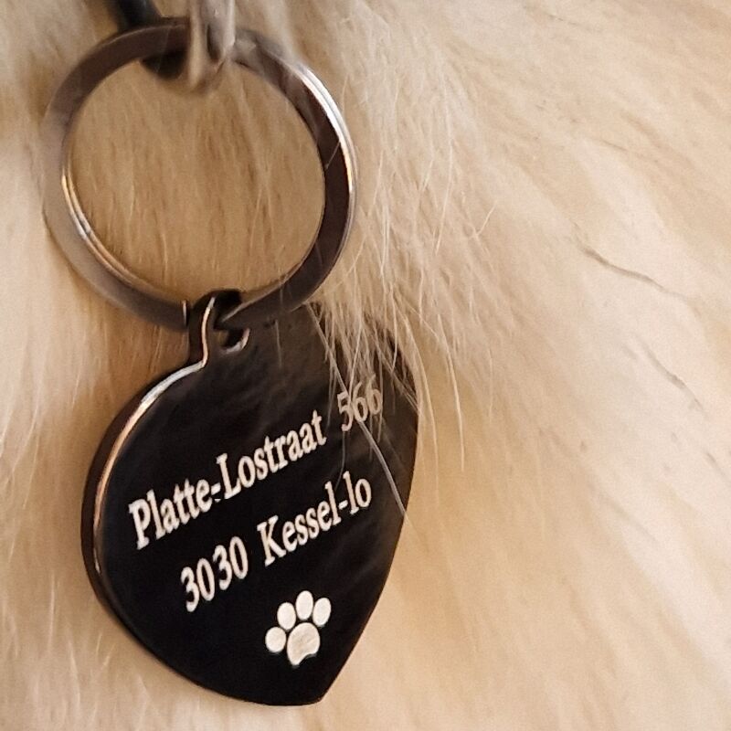 Etiqueta para Corazón de Perro