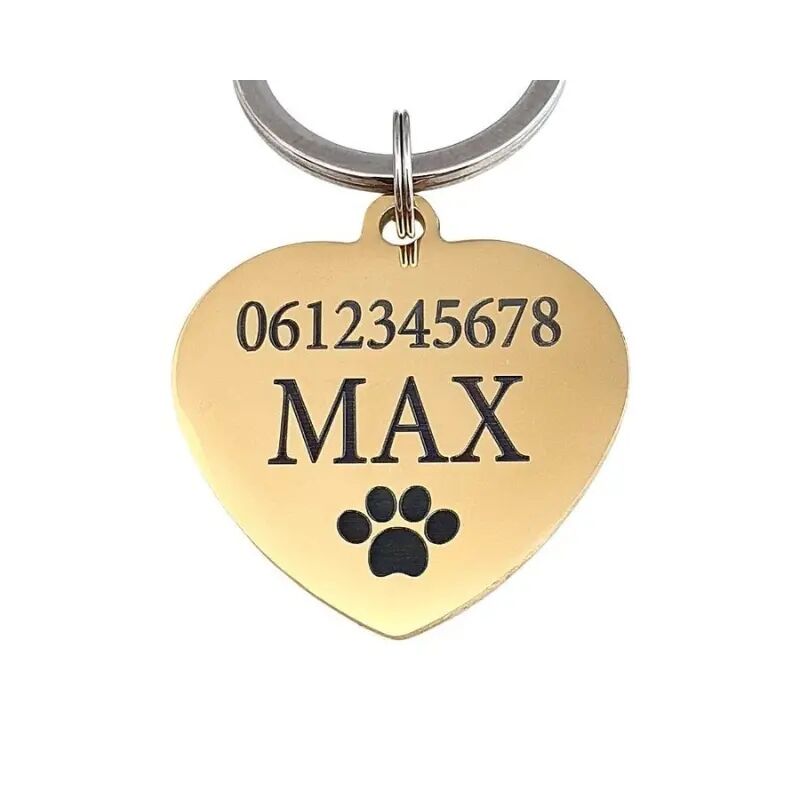 Perro de etiqueta con nombre y dirección dorados
