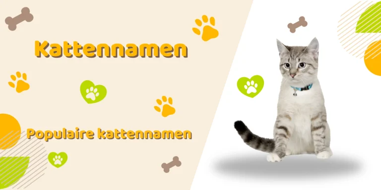 Kattennamen