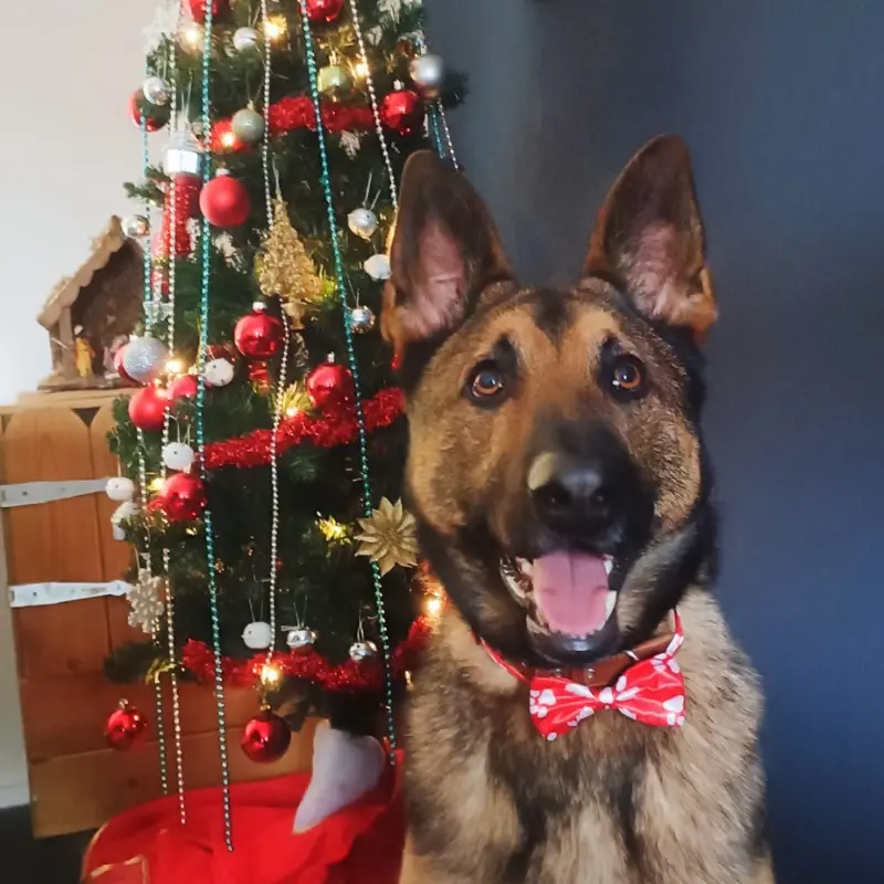 Gepersonaliseerd kerstcadeau man vrouw voor hem haar vriendin moeder vader