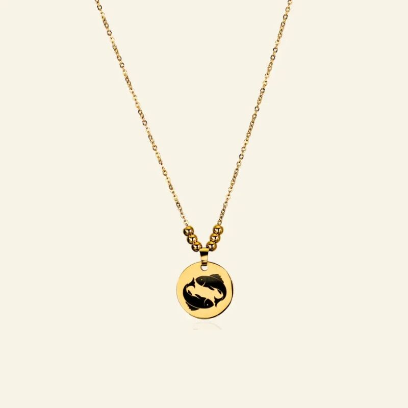 Ketting met Titanium hanger sterrenbeeld
