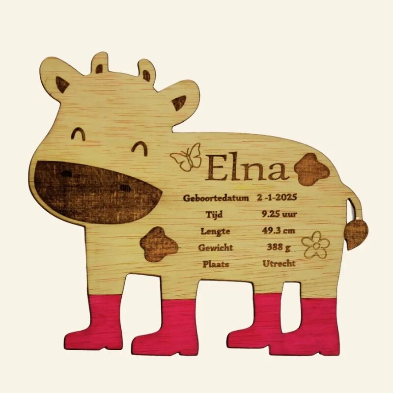 Geboortecadeau met naam