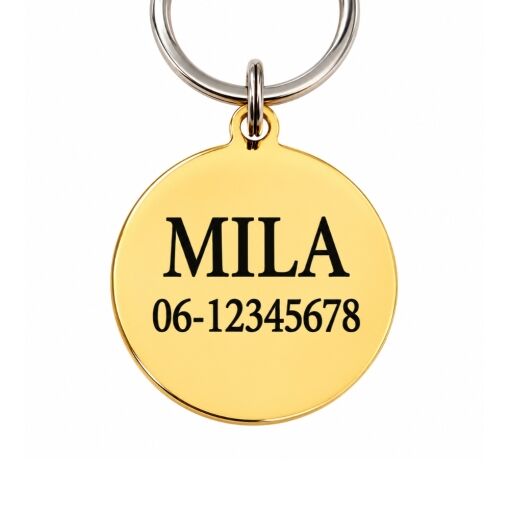 Hundemarke mit Name und Adresse für Hunde und Katzen Niedliche gravierte Katzen- oder Hundemarke Gold