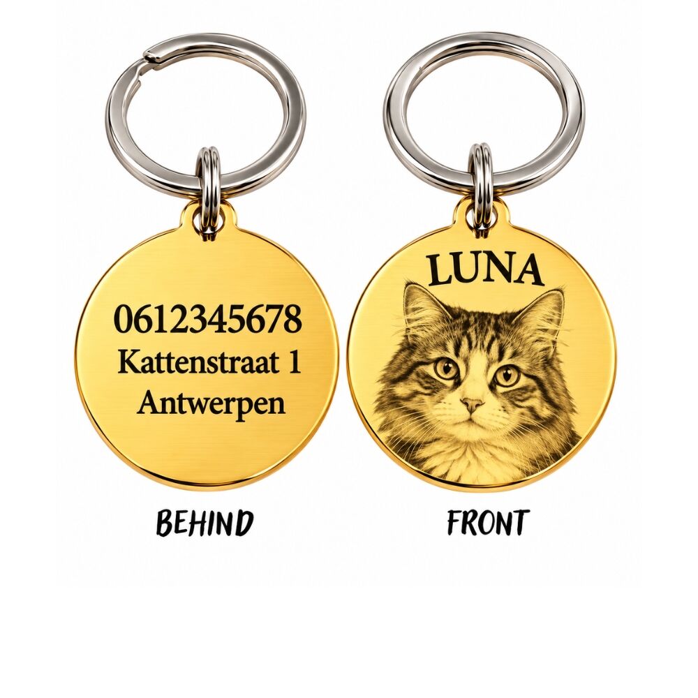 Placa de identificación para perro o gato con foto y nombre grabado oro