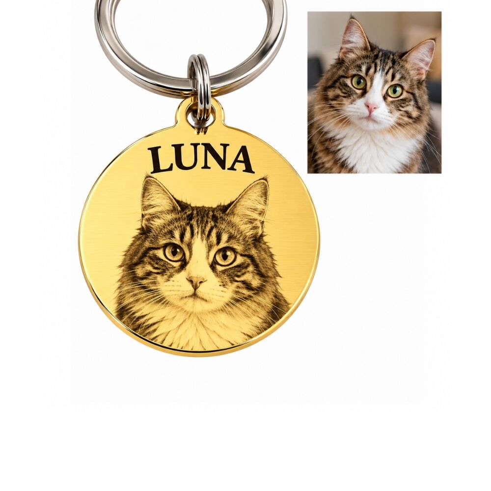 Placa de identificación para perro o gato con foto y nombre grabado color oro