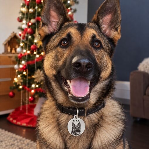 Honden penning met foto voor grote honden