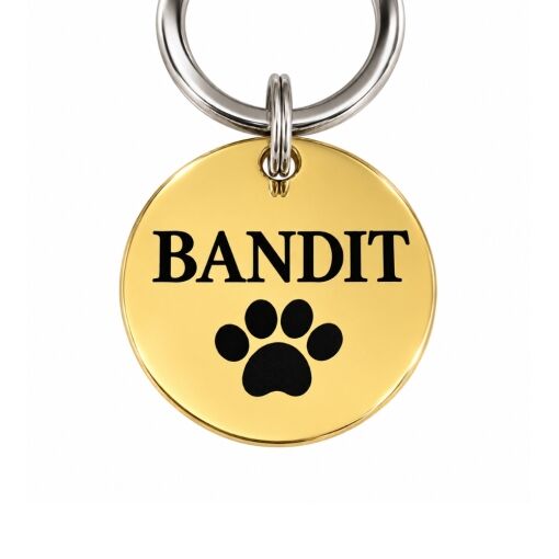 Pide una buena placa de identificación online con grabado de nombre y pata Titanio 25 mm - La mejor placa con pata y dirección - grabado gratuito en oro