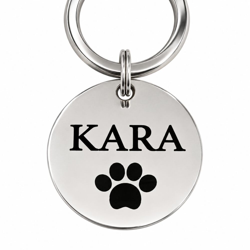 Etiqueta de nombre grabado de perro Etiqueta de nombre color dorado para perros de plata