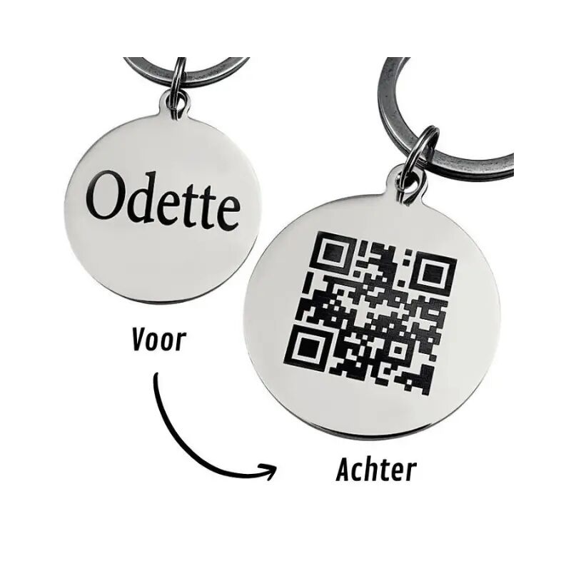 Pet Tag QR Code for Dog and Cat Engraving with Name Silver
