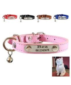 Kattenhalsband met naam, gepersonaliseerde halsbandjes voor katten of kitten telefoonnummer en belletje graveren roze