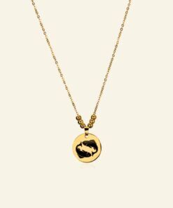 Ketting met Titanium hanger sterrenbeeld