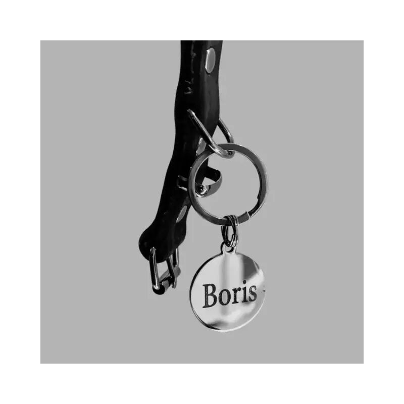 Hondenpenning met naam en adres voor honden en katten Leuke gegraveerde kat of hondenpenning