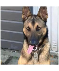 ID Tag hond klein graveren naam tag hond voor kleine hond