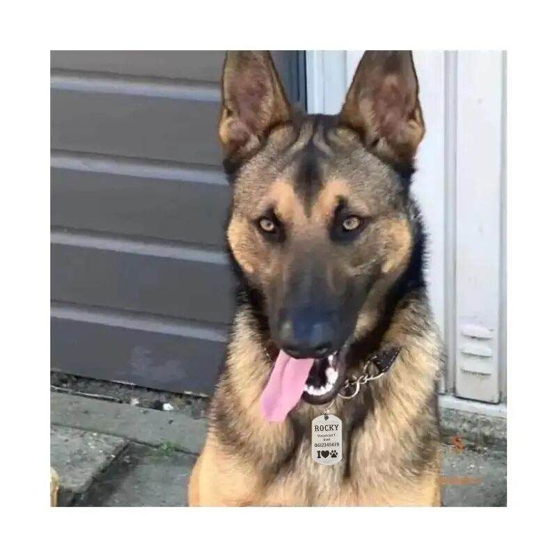 ID Tag hond klein graveren naam tag hond voor kleine hond