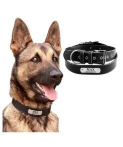 Hondenhalsband met naam graveren Leer zwart