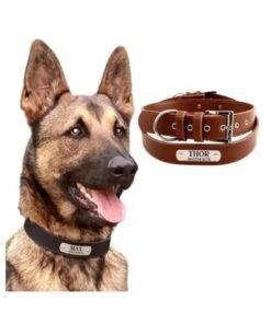 Hondenhalsband met naam graveren Leer bruin