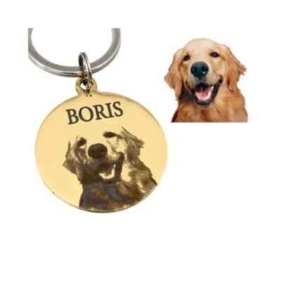 Hondenpenningen met foto