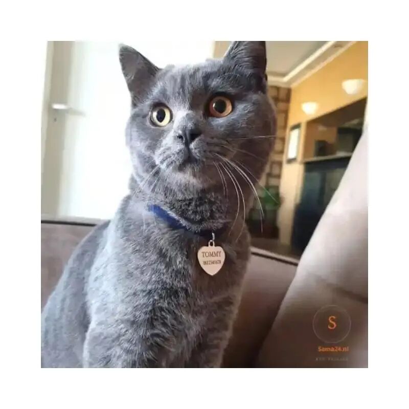Cat Tag with Name Heart Tag for Dog and Cat Engraving with Name, Address and Telephone Number