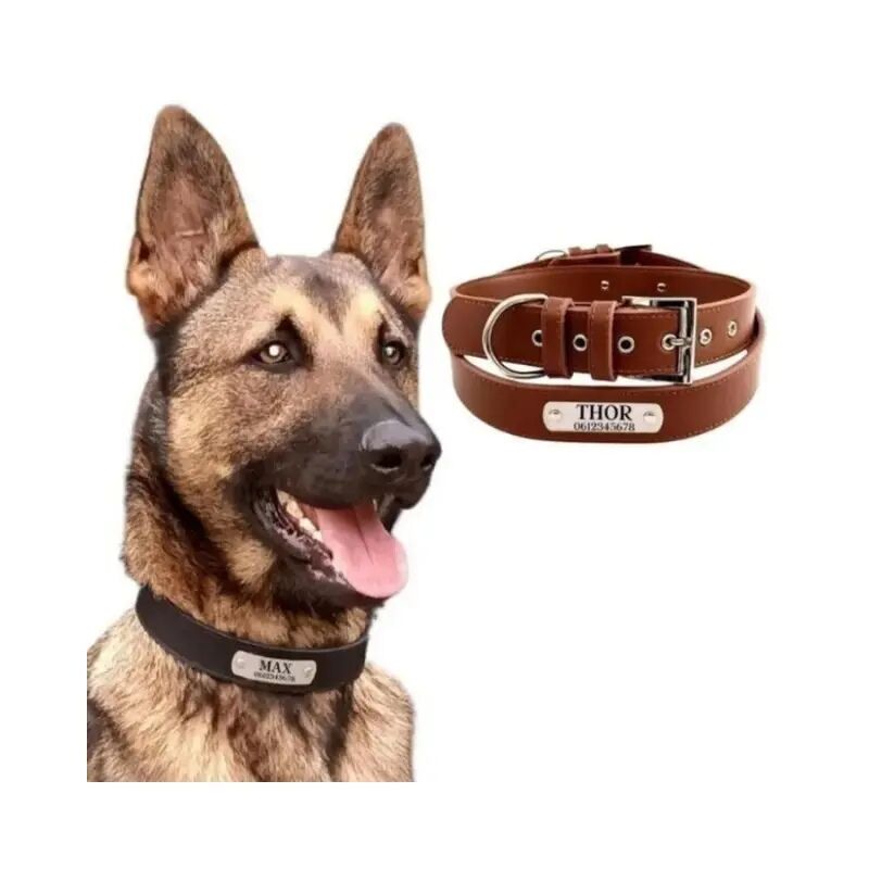 Leather Dog Collar with Engraved Name Brown