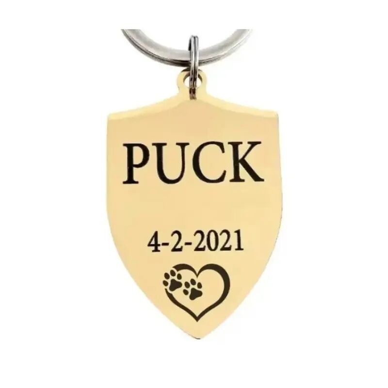 Penning hond graveren zwart zilver goud kleurig Mooie grote penning voor hond met naam adres en telefoonnummer goud